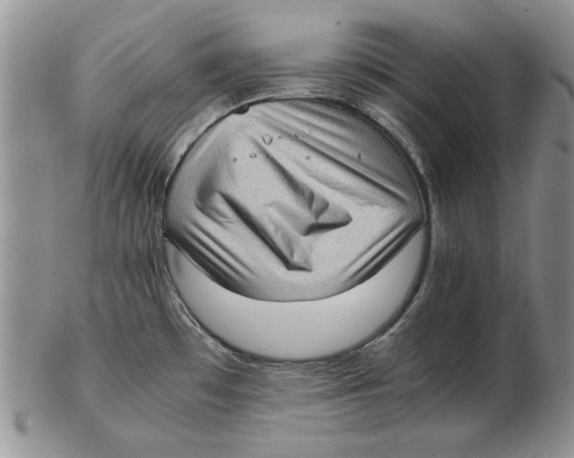 X0000102761481200809080930