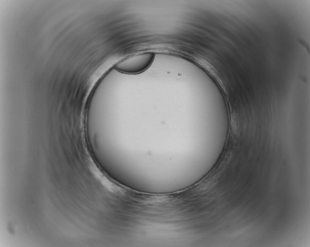 X0000102761482200809080930