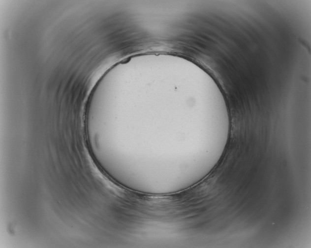 X0000102761483200809080930