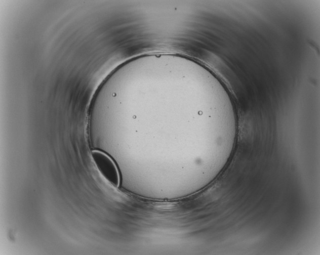 X0000102761484200809080930