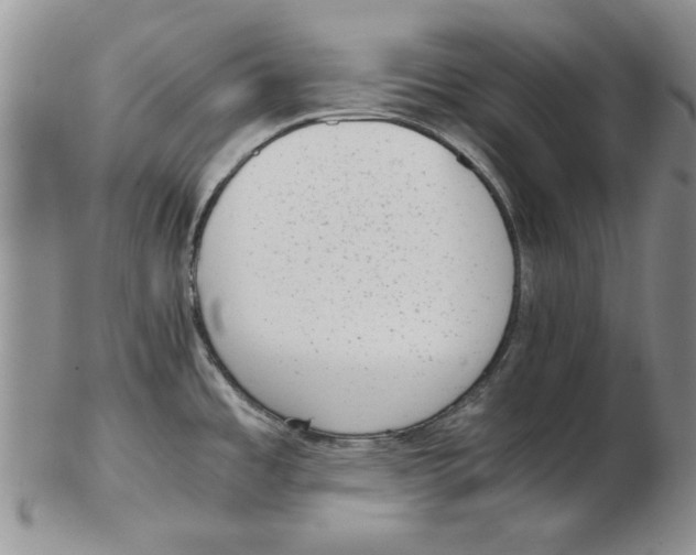 X0000102761485200809080930