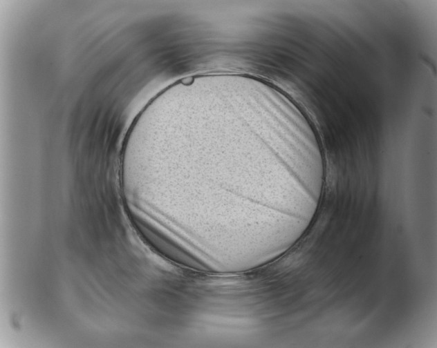 X0000102761486200809080930