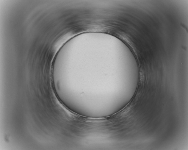 X0000102761487200809080930