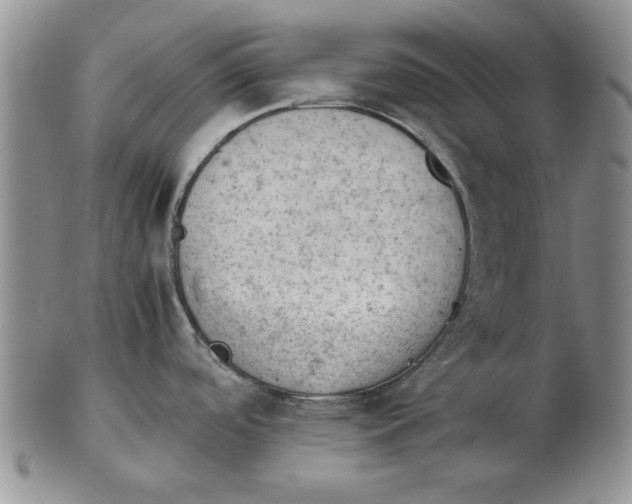 X0000102761488200809080930