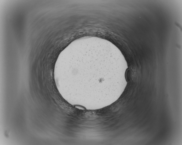 X0000102761489200809080929