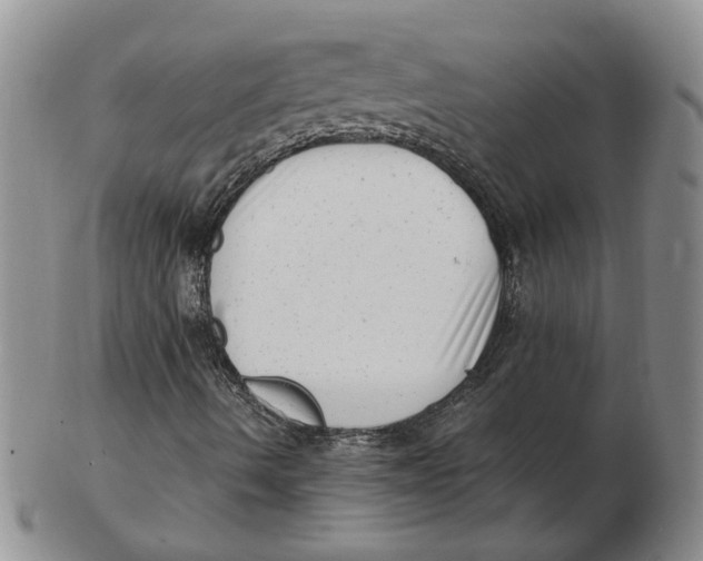 X0000102761490200809080929