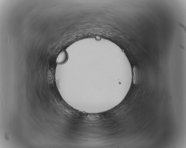 X0000102761491200809080929