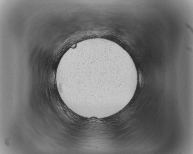 X0000102761492200809080929