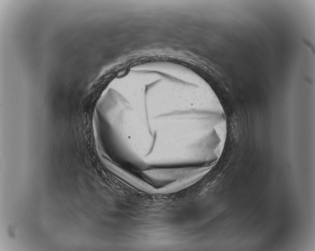 X0000102761494200809080929