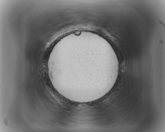 X0000102761496200809080929