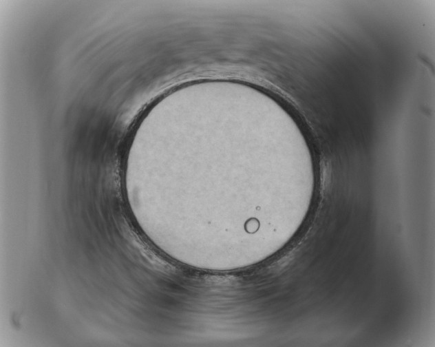 X0000102761498200809080929