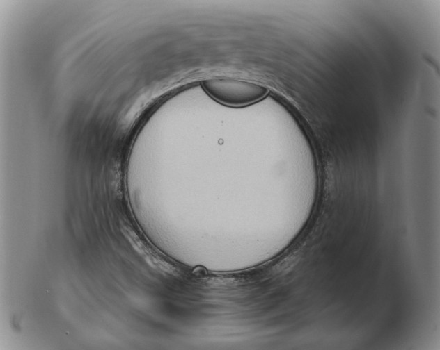 X0000102761499200809080929