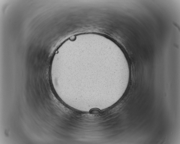 X0000102761500200809080929