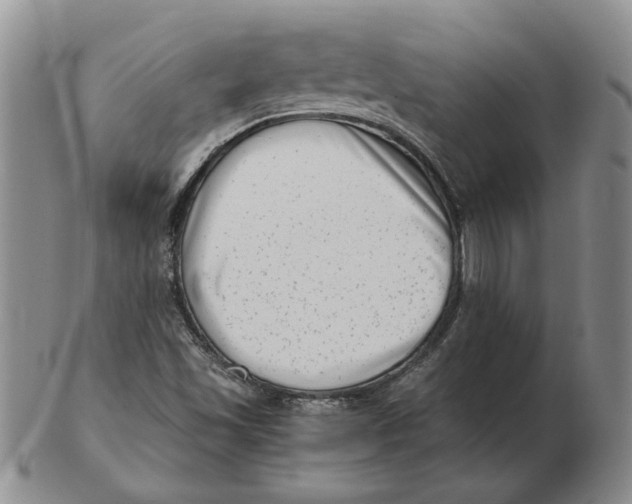 X0000102761501200809080929