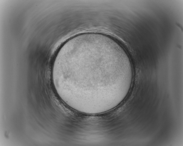 X0000102761506200809080929