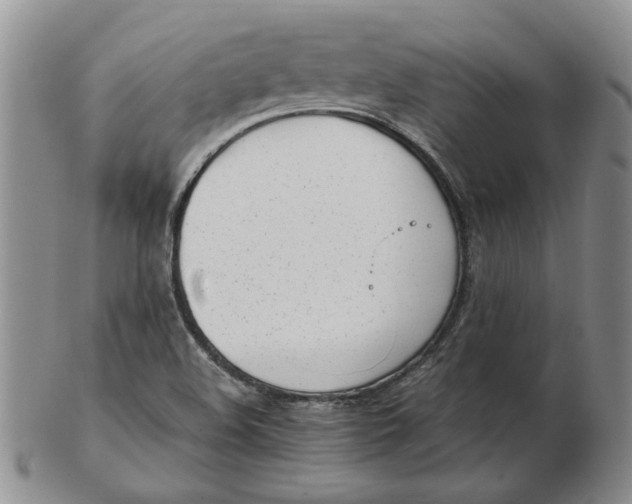 X0000102761508200809080929