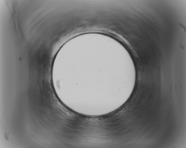 X0000102761512200809080929