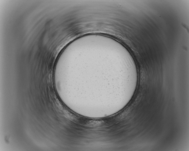 X0000102761513200809080929