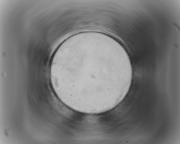 X0000102761514200809080929