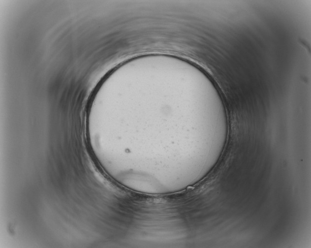 X0000102761515200809080929