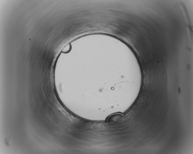 X0000102761516200809080929