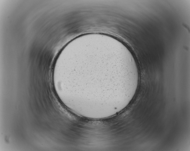 X0000102761517200809080929