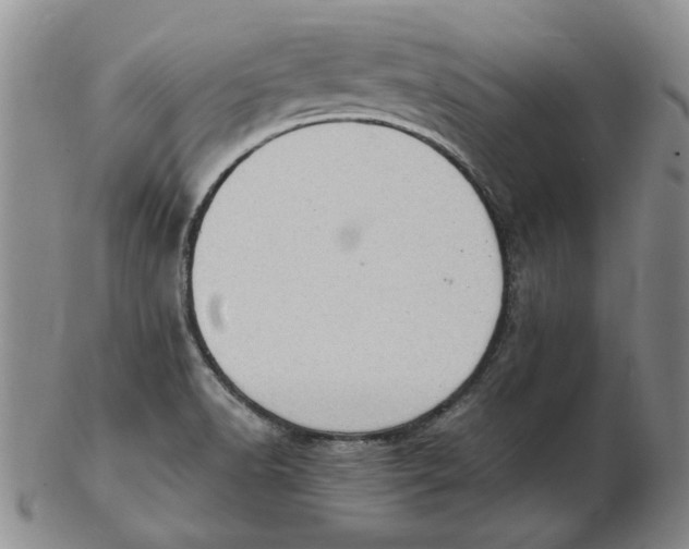 X0000102761518200809080929