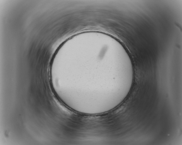 X0000102761519200809080929