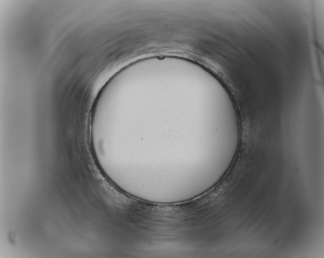 X0000102761520200809080929