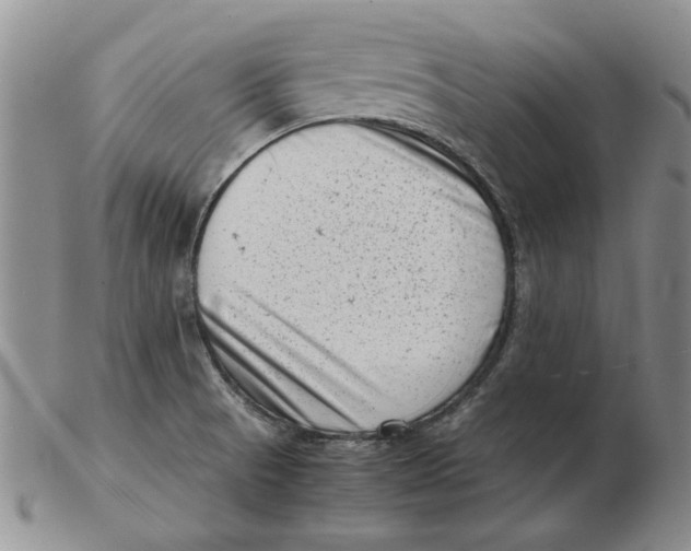 X0000102761521200809080929