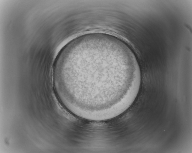 X0000102761522200809080929