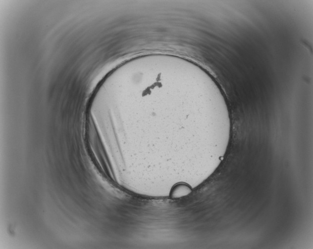 X0000102761523200809080929