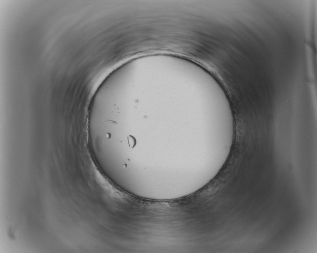 X0000102761524200809080929