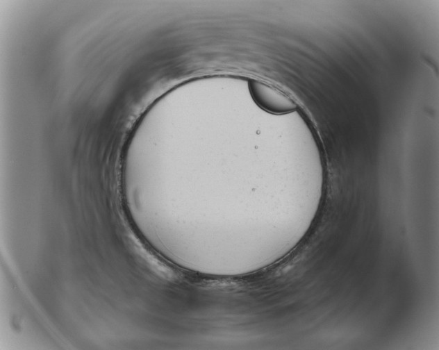 X0000102761525200809080929