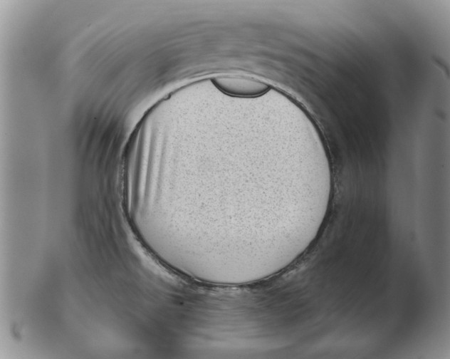 X0000102761526200809080929