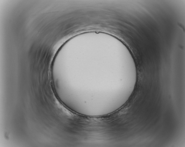 X0000102761527200809080929