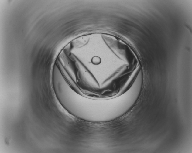 X0000102761528200809080929