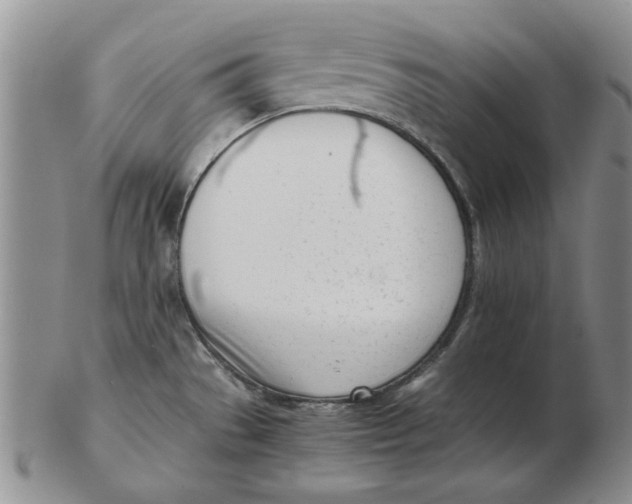 X0000102761529200809080929