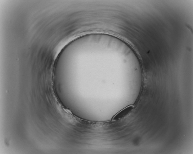 X0000102761530200809080929