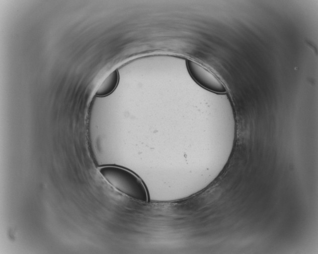 X0000102761532200809080930