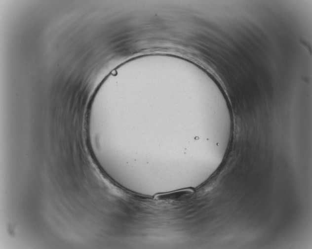 X0000102761533200809080930