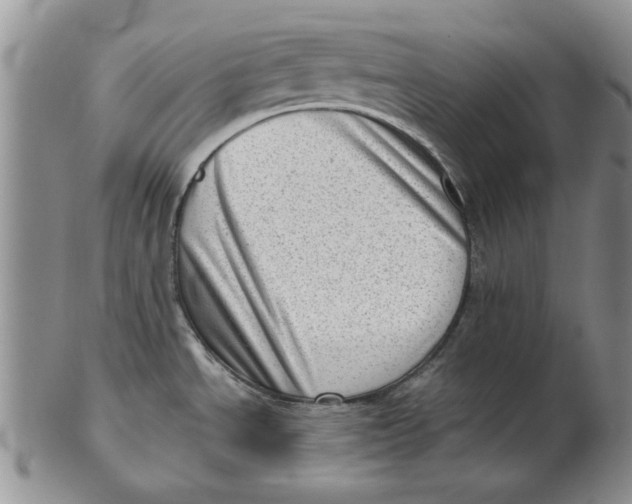 X0000102761534200809080930