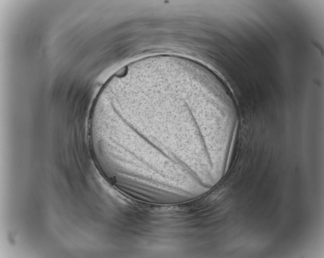 X0000102761535200809080930