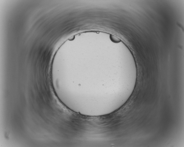 X0000102761536200809080930