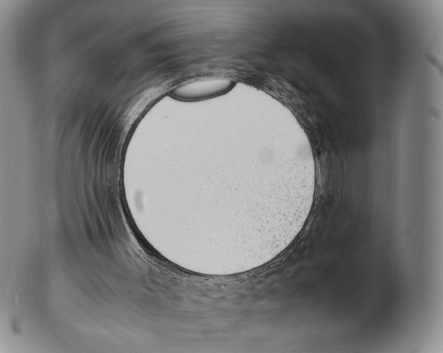X0000102760003200809151026