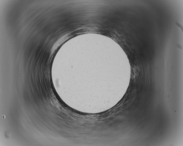 X0000102760004200809151026