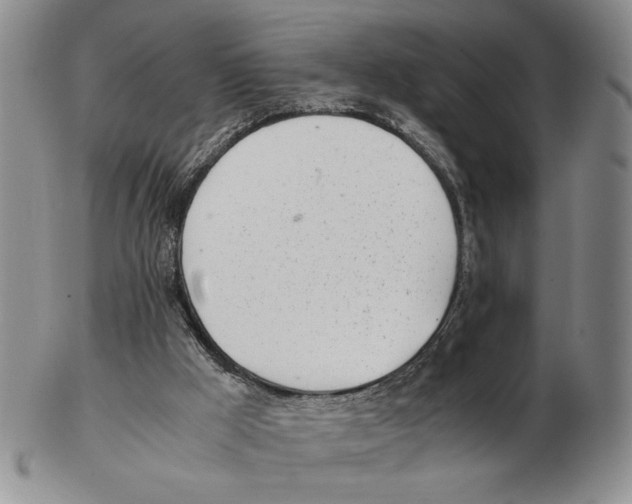 X0000102760009200809151026