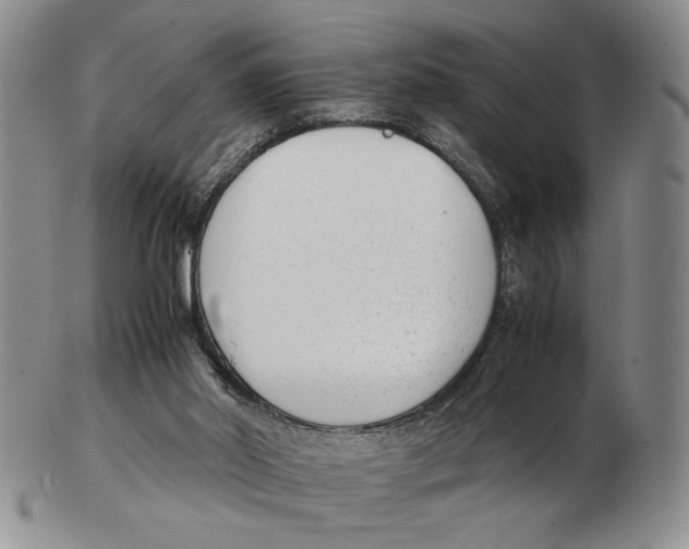 X0000102760014200809151026