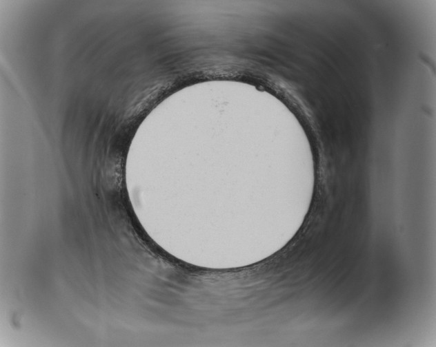 X0000102760017200809151026