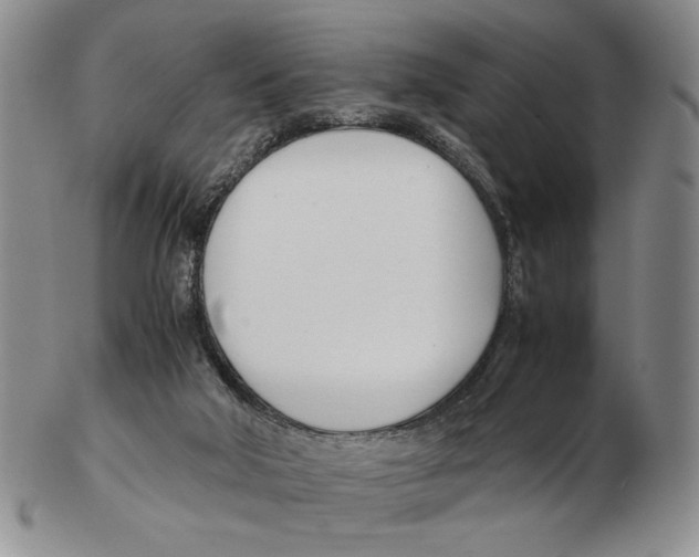X0000102760018200809151026